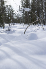 雪景色　フィンランド　ロバニエミ