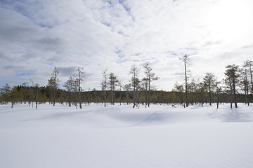 雪景色　フィンランド　ロバニエミ