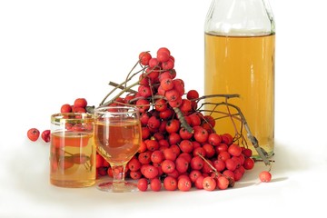 rowan beries as condiment for rowan-vodka