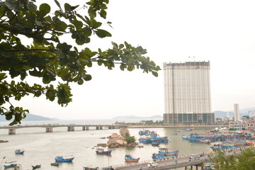 flora boat palm trees nature tree sky blue garden coast sand shore fruit Bush sail air rest relax port river