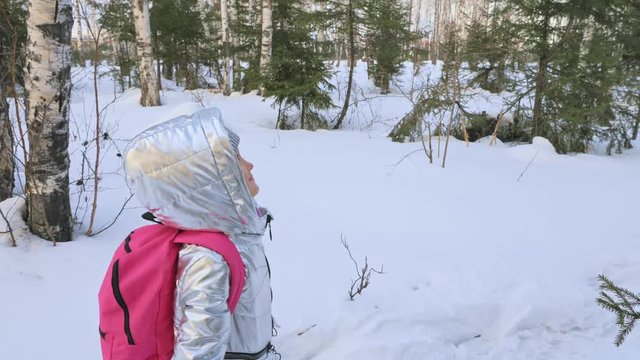Small child is walking in the woods. Traveler kid is walk in birch forest city park. Girl walks in evening time with beautiful sunset. Explorer is dressed in stylish silver down jacket and backpack.