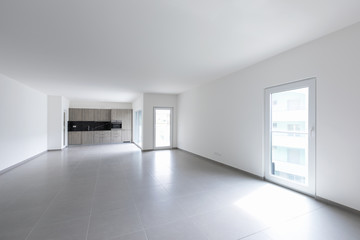 Large living room and completely white kitchen in a modern open space