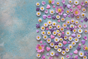 Background with flowers of daisies, lilacs, forget-me-nots, roses, petals and hearts