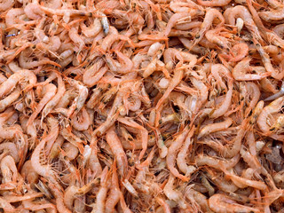 Napoli, April 26, 2018.  Detail of a pile of shrimps being sold at the fish market