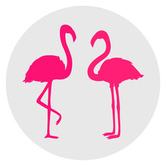 Circle web icon on isolation background. Flamingos. Cartoon birds