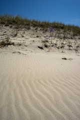Sandtraces