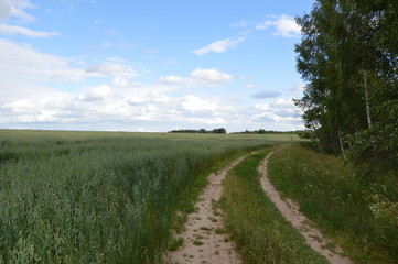 Проселочная дорога рядом с овсяным полем