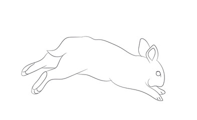 hare jumping, lines, vector