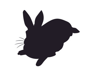 hare lies, silhouette, vector