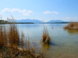 Bayern - Schilf am Chiemsee