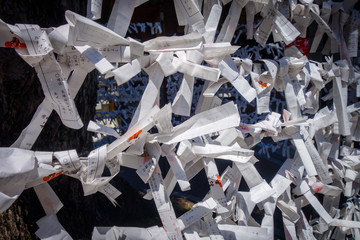 Traditional Omikujis in a temple, Tokyo, Japan