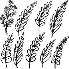 hand graphics leaves isolated on white background