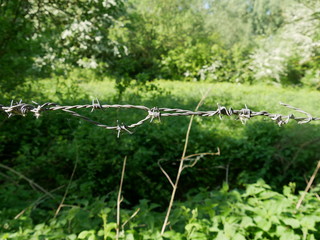 Fil de fer barbelé torsadé