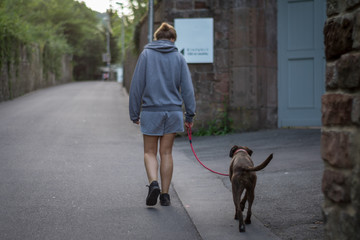 Wanderung Hund Trier Straße