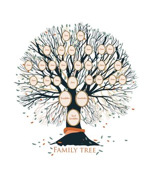 Family tree or genealogical chart template with branches and round portrait frames isolated on white background. Representation of links between relatives and their ancestors. Vector illustration.