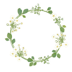 Flowers. Floral background. Wreath. Round frame. White buds. Small inflorescences. Green leaves. Flower pattern. Vector.