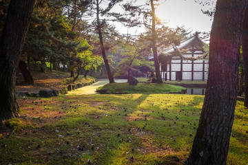 Pavillion in Nara park, Japan