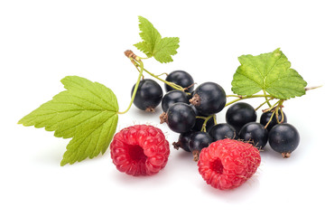 Blackcurrants and raspberries in closeup isolated on white background.
