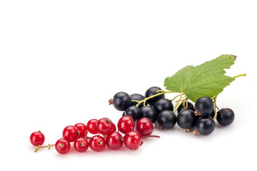 Red currant and blackcurrant in closeup isolated on white background.Red currant in closeup isolated on white background.