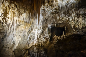 Waitomo glowworm caves, New Zealand