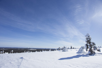 雪景色　フィンランド　ロバニエミ