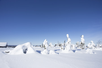 Fototapeta na wymiar 雪景色　フィンランド　ロバニエミ