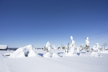 雪景色　フィンランド　ロバニエミ