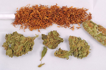 Fare una canna con marijuana e hashish -  droga leggera da fumare - thc e cbd - dipendenza da droghe - sostanze legali e illegali - erba curativa - soldi e mercao nero - malaffare e malavita © andrea