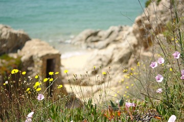 Bunker