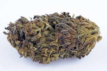 Cannabis e marijuana con alto cbd e basso thc - fiore - droga leggera da fumare - sostanze legali e illegali - erba curativa - ganja 
