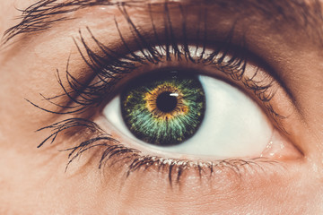 Fototapeta premium A beautiful insightful look woman's eye. Close up shot.