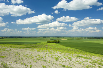 Panoramic view of fields, copse and blue sky