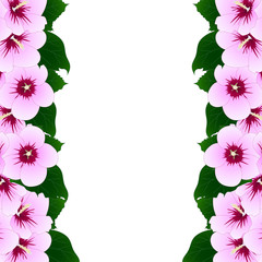 Hibiscus syriacus - Rose of Sharon Border. Vector Illustration.
