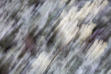 Spring blurred leaves. Abstract motion blur effect