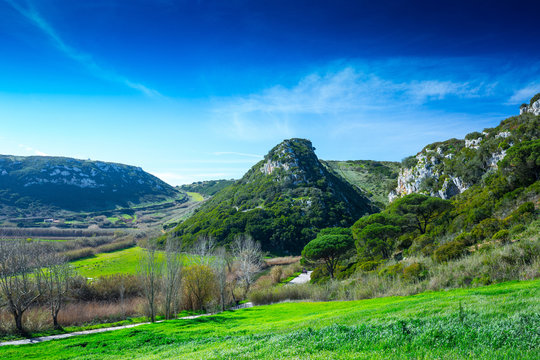The trail, the pedestrian, car-free zone in the valley of the Alcabrichel River, surrounded by evergreen trees on steep hills. Beautiful landscape near Vimeiro in Portugal.