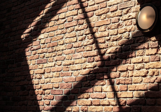 brick wall in sun © Anastasiya Dunaeva
