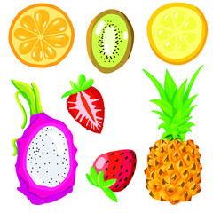Exotic fruits vector set. Natural organic. Isolated vector illustration on white background