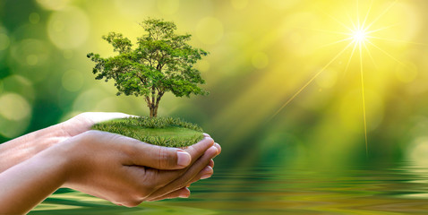 environment Earth Day In the hands of trees growing seedlings. Bokeh green Background Female hand holding tree on nature field grass Forest conservation concept - Powered by Adobe