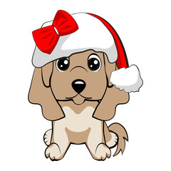 Red-haired happy dog in a red jacket with a white collar and with red hat with a white pompon on a white background.