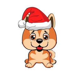 Red-haired happy dog in a red jacket with a white collar and with red hat with a white pompon on a white background.