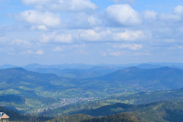 Carpathians forest in May