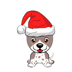 Red-haired happy dog in a red jacket with a white collar and with red hat with a white pompon on a white background.