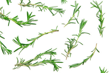 Natural flat lay pattern of rosemary sprigs on white background