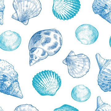 Seashells seamless pattern for your ocean life design. Elegant sea shells background. Summer template collection vector illustaration