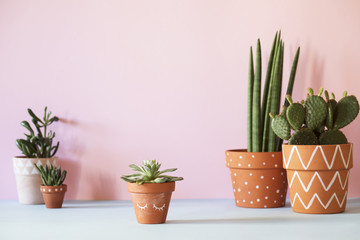 The stylish interior filled a lot of plants in different hipster clay pots. Modern plant compostion with pink background wall.