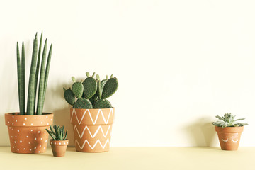 Modern and stylish composition of home garden in yellow interior filled a lot of plants in different clay pots. Copy space for inscription. 