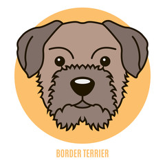 Portrait of Border Terrier. Vector illustration