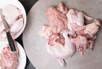 set of raw chicken meat pieces on the grey background. Dieting meat
