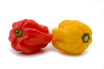 Rote und gelbe Habanero