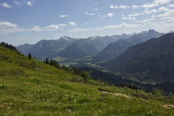 Fototapeta na wymiar Bergwiese in den Alpen bei Oberstdorf
